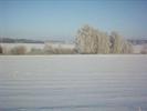 Landschaft